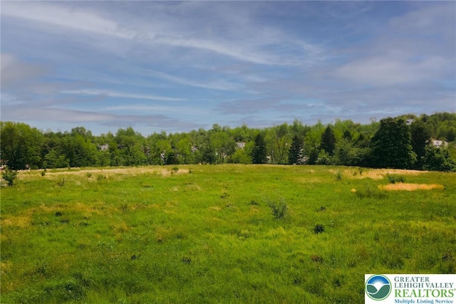 2530 5th Street, St, PA 18014 - view of local wilderness with rural landscape