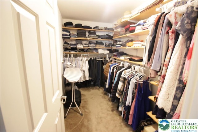 472 Bauer Rd, Moore Twp, PA 18014 - walk in closet with carpet flooring