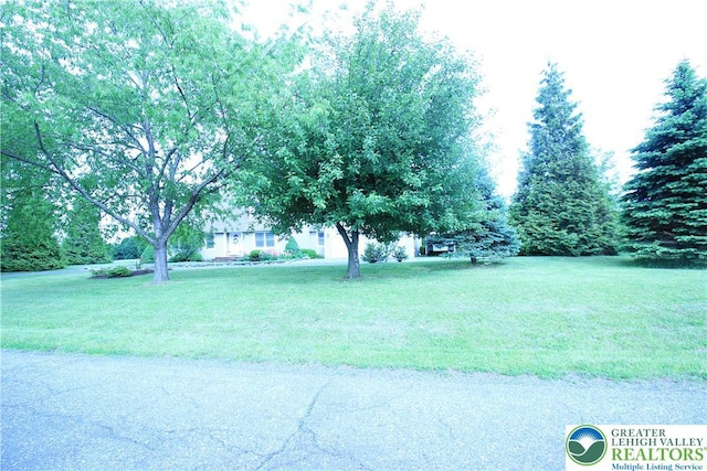 472 Bauer Rd, Moore Twp, PA 18014 - view of green lawn