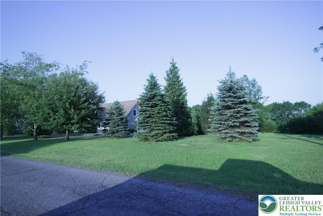 472 Bauer Rd, Moore Twp, PA 18014 - view of grassy yard