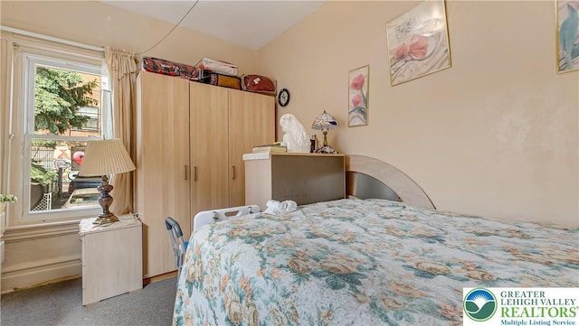 718 Jordan St, Allentown City, PA 18102 - view of carpeted bedroom
