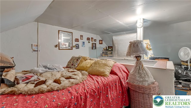 718 Jordan St, Allentown City, PA 18102 - bedroom with vaulted ceiling