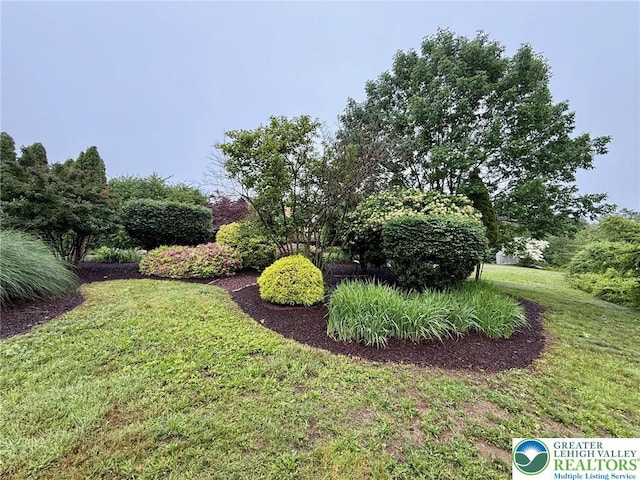 3353 Spring Valley Rd, Washington Twp, PA 18080 - view of grassy yard