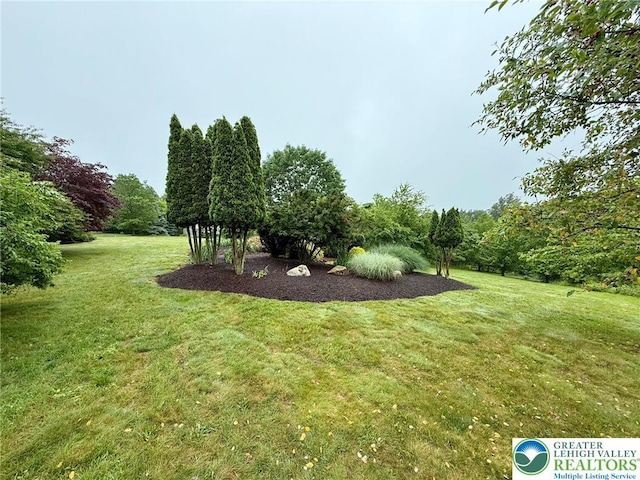 3353 Spring Valley Rd, Washington Twp, PA 18080 - view of green lawn