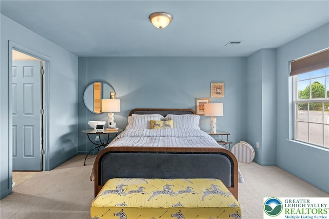 707 Blue Heron Dr, Allentown City, PA 18103 - bedroom featuring carpet and baseboards