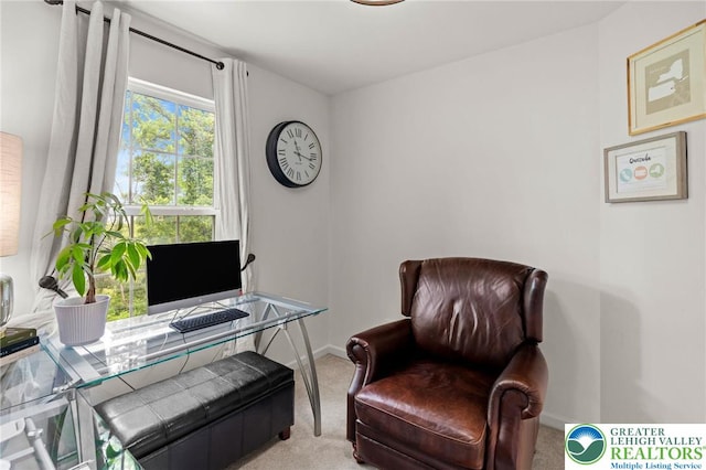 707 Blue Heron Dr, Allentown City, PA 18103 - carpeted home office with baseboards