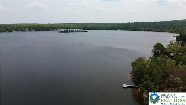 1367 Stony Mountain Rd, Penn Forest Twp, PA 18210 - water view featuring a heavily wooded area