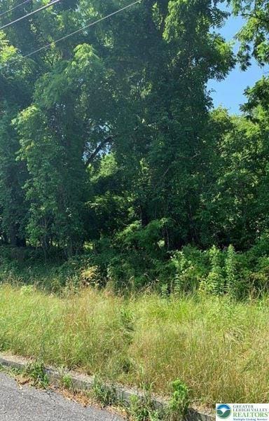 802 Atlantic St, Bethlehem City, PA 18015 - view of tree filled area