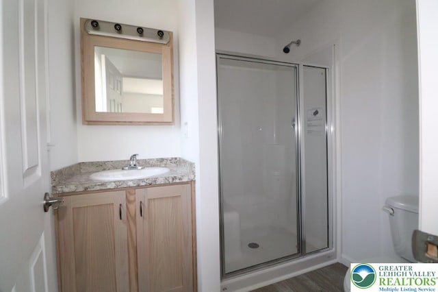 1025 W Princeton Ave, Palmerton Boro, PA 18071 - full bathroom with toilet, vanity, a stall shower, and wood finished floors
