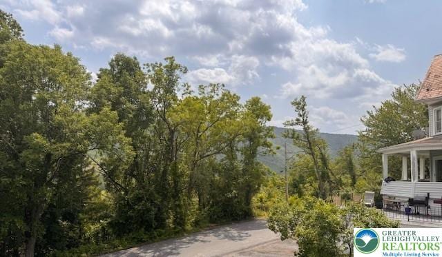 1025 W Princeton Ave, Palmerton Boro, PA 18071 - view of yard