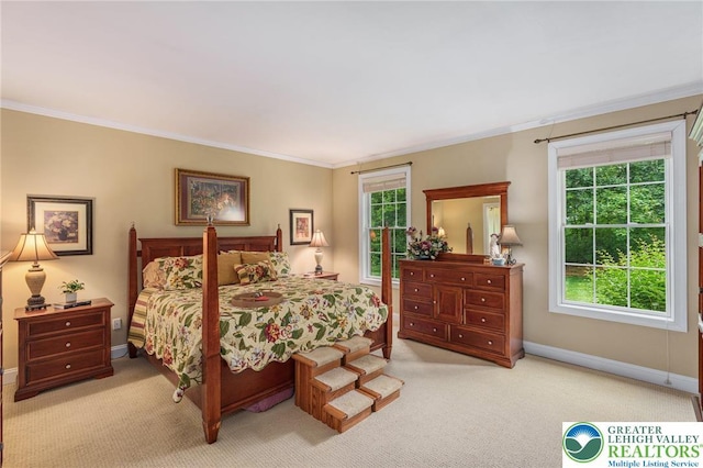 6335 Sweetbriar Ln, Upper Milford Twp, PA 18092 - carpeted bedroom with crown molding and multiple windows