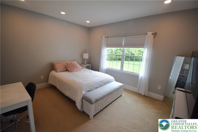 55 Forrest Stand Dr, Easton, PA 18042 - bedroom featuring light carpet, baseboards, and recessed lighting