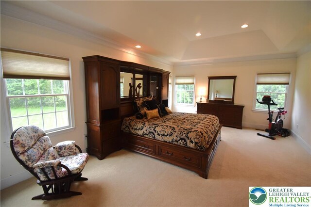 55 Forrest Stand Dr, Easton, PA 18042 - bedroom with multiple windows, light colored carpet, a raised ceiling, crown molding, and recessed lighting