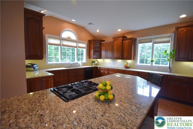 55 Forrest Stand Dr, Easton, PA 18042 - kitchen with light stone counters, black appliances, a sink, vaulted ceiling, and glass insert cabinets