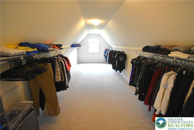55 Forrest Stand Dr, Easton, PA 18042 - walk in closet with carpet floors and lofted ceiling