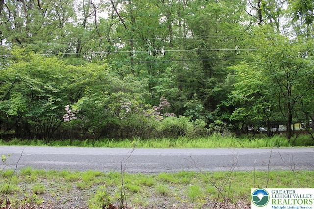 135 Rosewood Dr, Penn Forest Twp, PA 18229 - view of asphalt street