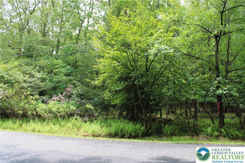 135 Rosewood Dr, Penn Forest Twp, PA 18229 - view of asphalt street with a wooded view