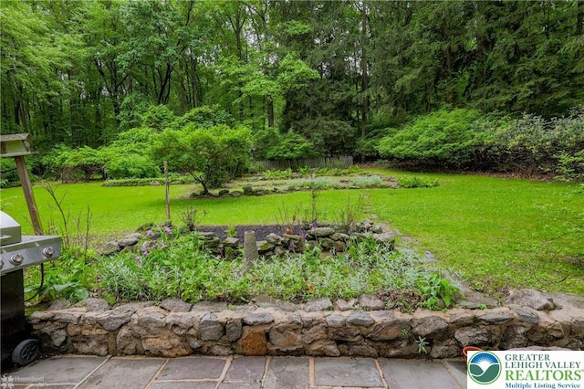 6650 Mountain Rd, Macungie Boro, PA 18062 - view of grassy yard featuring a view of trees