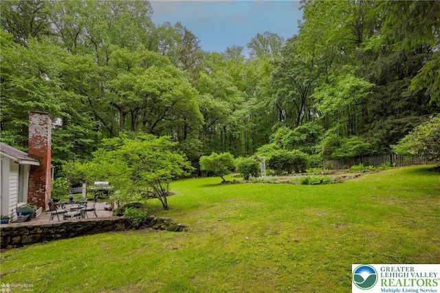 6650 Mountain Rd, Macungie Boro, PA 18062 - view of yard featuring a patio and a view of trees