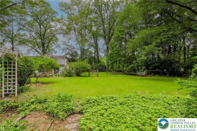 6650 Mountain Rd, Macungie Boro, PA 18062 - view of yard