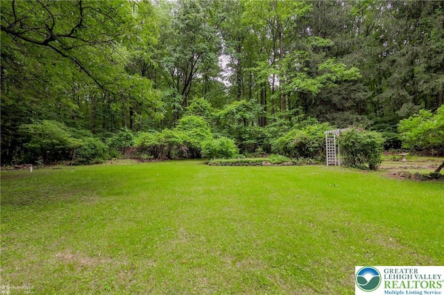 6650 Mountain Rd, Macungie Boro, PA 18062 - view of grassy yard featuring a wooded view