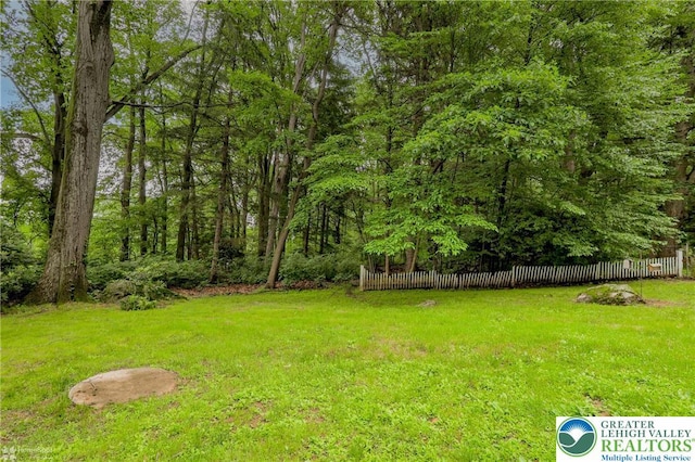 6650 Mountain Rd, Macungie Boro, PA 18062 - view of yard