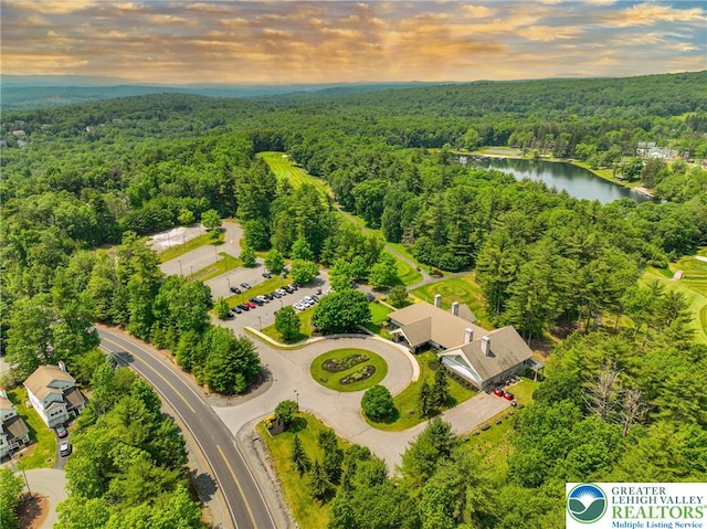 205 Osprey Way, Middle Smithfield Twp, PA 18302 - aerial view of a forest and a nearby body of water