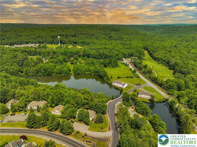 205 Osprey Way, Middle Smithfield Twp, PA 18302 - aerial view of a nearby body of water