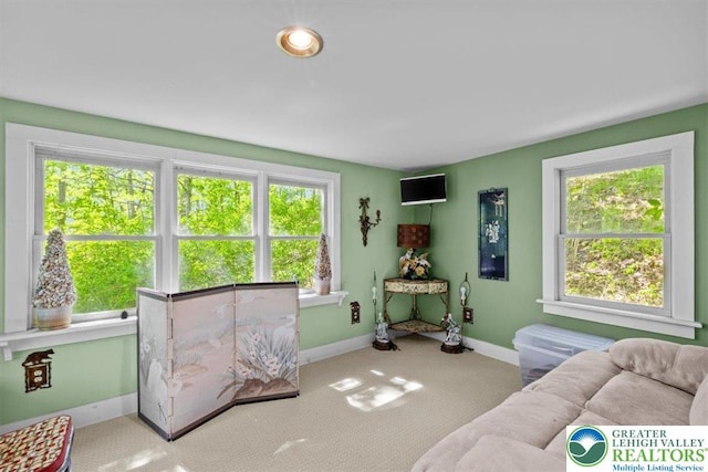 1341 Beaver Valley Rd, Hamilton Twp, PA 18360 - carpeted living area featuring baseboards