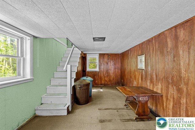 1341 Beaver Valley Rd, Hamilton Twp, PA 18360 - basement featuring wooden walls and stairway