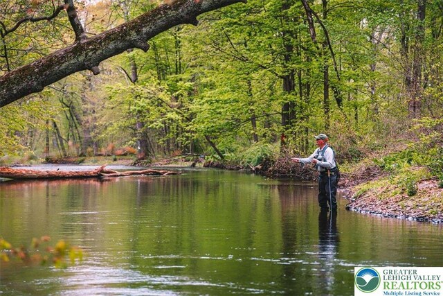 1341 Beaver Valley Rd, Hamilton Twp, PA 18360 - water view with a heavily wooded area
