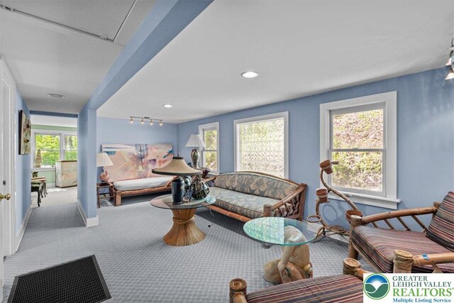 1341 Beaver Valley Rd, Hamilton Twp, PA 18360 - living area with carpet flooring and recessed lighting