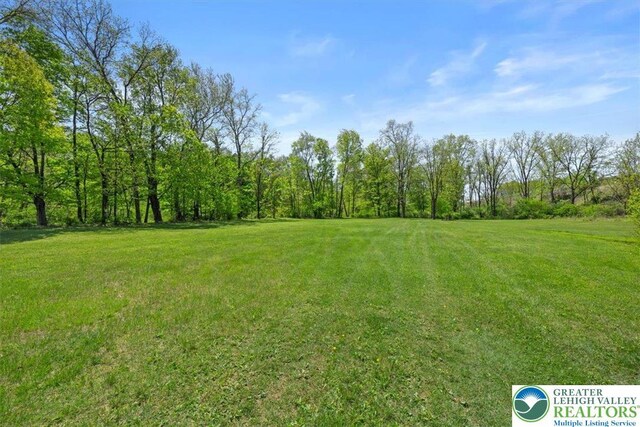 1341 Beaver Valley Rd, Hamilton Twp, PA 18360 - view of green lawn