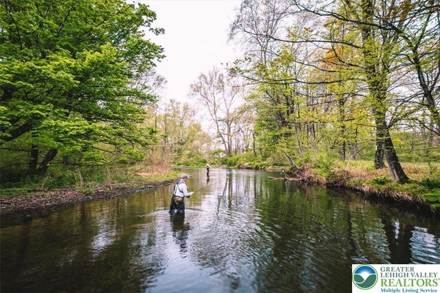 1341 Beaver Valley Rd, Hamilton Twp, PA 18360 - water view with a heavily wooded area