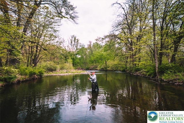 1341 Beaver Valley Rd, Hamilton Twp, PA 18360 - water view featuring a forest
