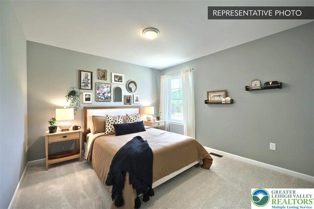 2010 Settlers Ridge Rd Lot 4, North Whitehall Twp, PA 18080 - bedroom featuring carpet flooring