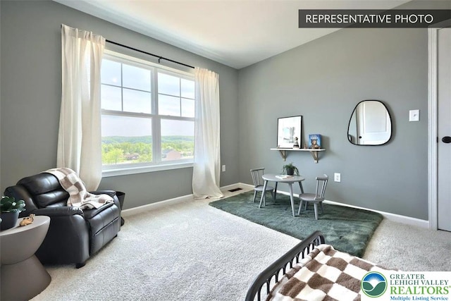 2010 Settlers Ridge Rd Lot 4, North Whitehall Twp, PA 18080 - bedroom with carpet flooring and baseboards