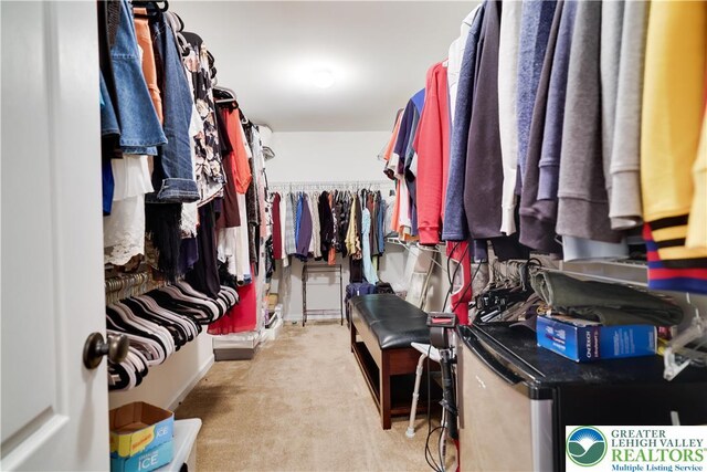 638 Stratton Dr, Middle Smithfield Twp, PA 18302 - spacious closet featuring carpet