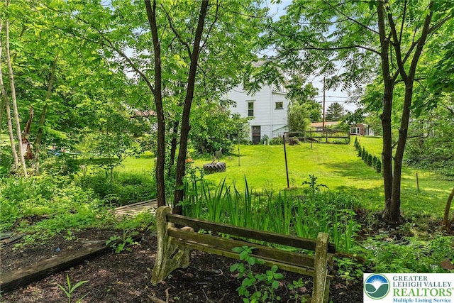 100 E Mahoning Dr, Mahoning Twp, PA 18235 - view of yard