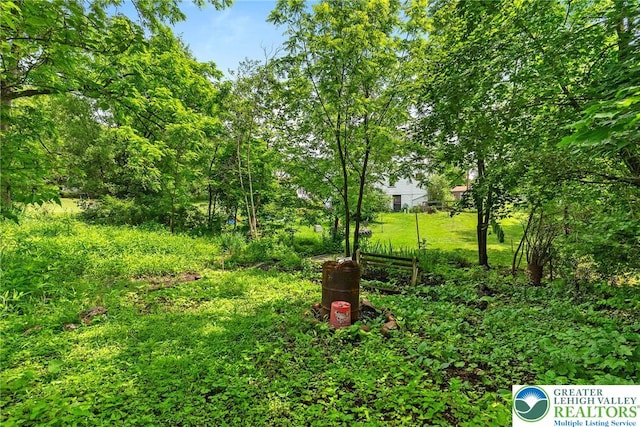 100 E Mahoning Dr, Mahoning Twp, PA 18235 - view of yard