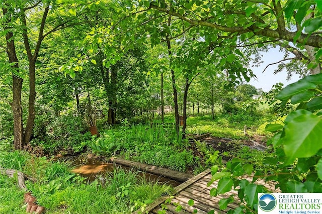 100 E Mahoning Dr, Mahoning Twp, PA 18235 - view of undeveloped land