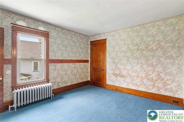 100 E Mahoning Dr, Mahoning Twp, PA 18235 - carpeted spare room with radiator and wallpapered walls