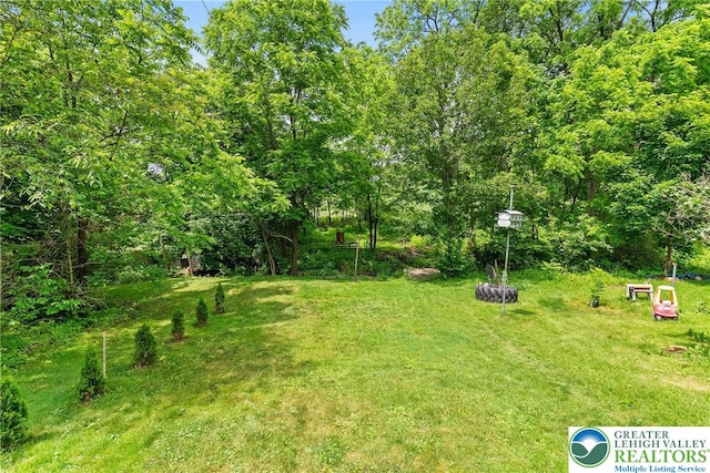 100 E Mahoning Dr, Mahoning Twp, PA 18235 - view of grassy yard