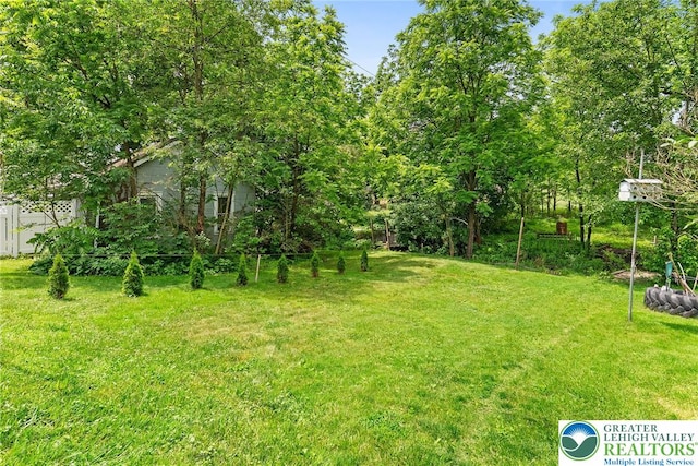 100 E Mahoning Dr, Mahoning Twp, PA 18235 - view of grassy yard