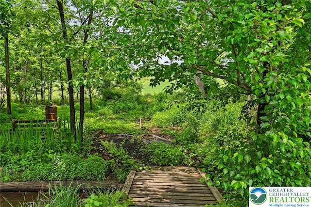 100 E Mahoning Dr, Mahoning Twp, PA 18235 - view of property's community