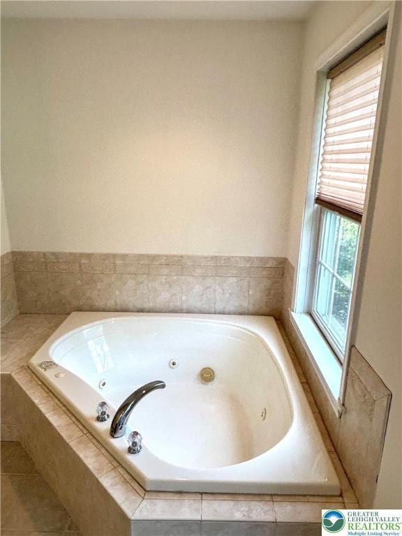 538 Carney Rd, Polk Twp, PA 18071 - full bathroom featuring healthy amount of natural light and a tub with jets