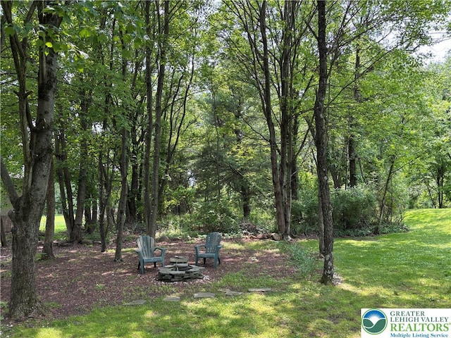 538 Carney Rd, Polk Twp, PA 18071 - view of green lawn featuring an outdoor fire pit