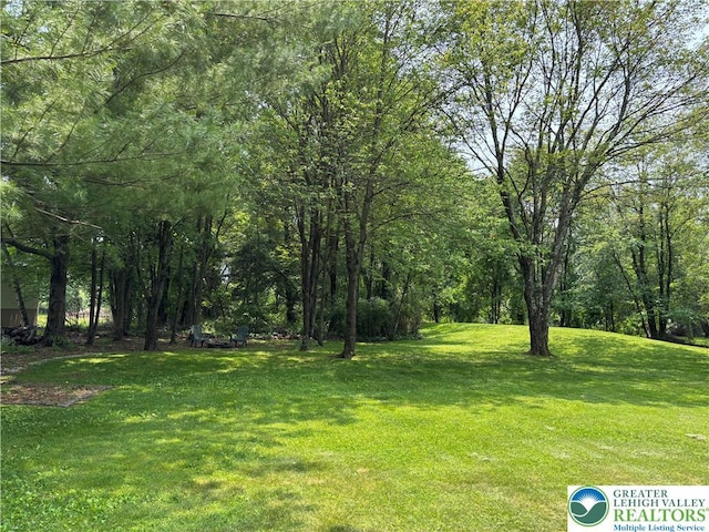 538 Carney Rd, Polk Twp, PA 18071 - view of grassy yard
