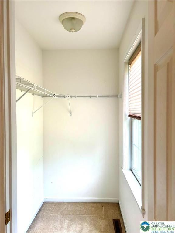 538 Carney Rd, Polk Twp, PA 18071 - view of walk in closet