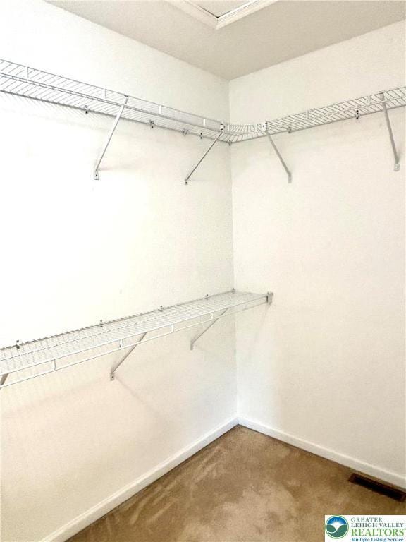 538 Carney Rd, Polk Twp, PA 18071 - spacious closet with carpet flooring